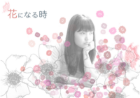 flower.psd